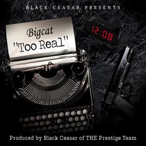 Too Real (feat. Big Cat) [Explicit]