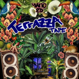 1 Night in Crown Heights