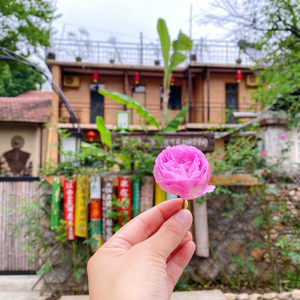 20200419·我们为什么需要诗歌