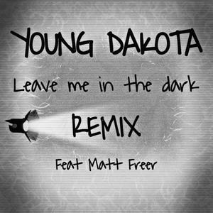 leave me in the dark (feat. Matt Freer) [remix] [Explicit]