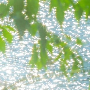 从前的我太善良 (受伤版)
