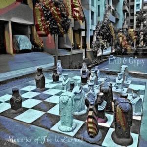 Flight of the Desert Bird