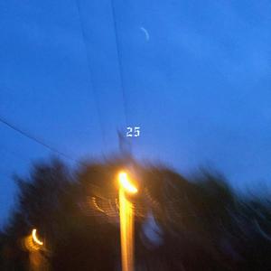 25