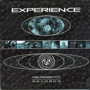 Experience