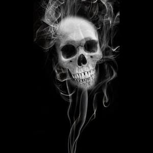 Do Or Die【Not Free】