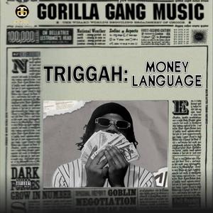 MONEY LANGUAGE (Explicit)