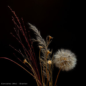 Diatlov (Original Mix)