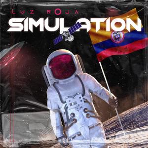 SIMULATION (Explicit)