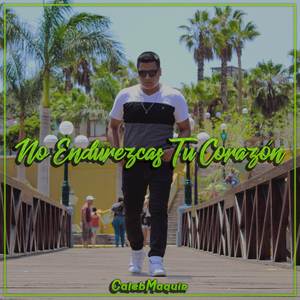 No endurezcas tu corazón