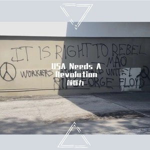 USA Needs A Revolution
