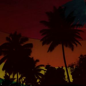 Miami Parties