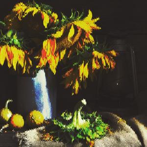 Girasoles (Explicit)