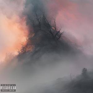 OWE U SUM (Explicit)