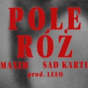 Pole róż (Explicit)