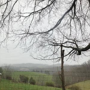 The Birds are Chirping as I Start to Fall Asleep