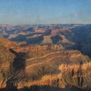 You Are Running Wild