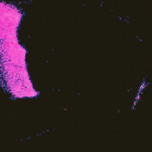 우리의 밤이 영원하길