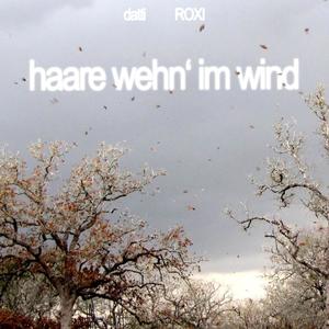 haare wehn' im wind (feat. ROXI) (Explicit)