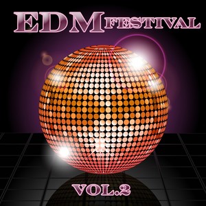 EDM Festival, Vol. 2