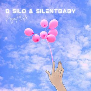 D SILO & SilentBaby