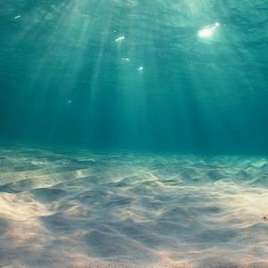 我怕来者不是你