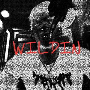 WILDLIN (Explicit)