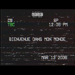 Bienvenue dans mon monde (feat. FRL) [Explicit]