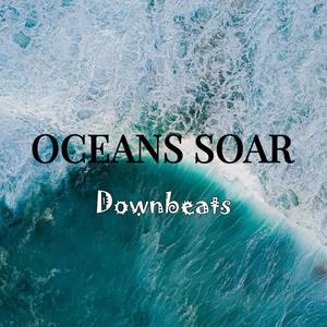 Oceans Soar