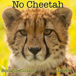 No Cheetah