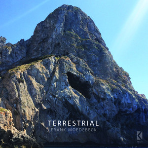 Terrestrial