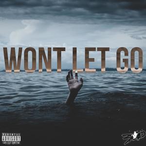 WON'T LET GO (Explicit)