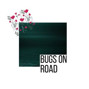 Bugs on Road