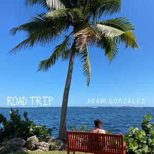 Road Trip