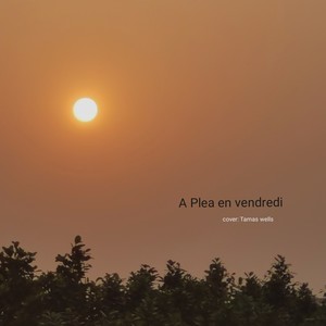 The Opportunity fair (remix: Tamas Wells)