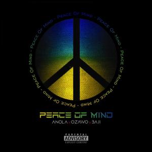 Peace Of Mind (POM) (feat. Ozawo & Bajii)