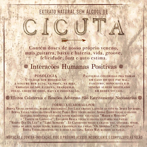 Cicuta