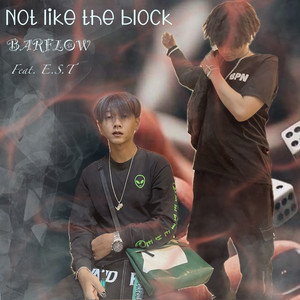 Not Like the Block (Explicit)