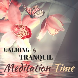 Asian Dream Song (Deep Sleep Music to Cure Insomnia)