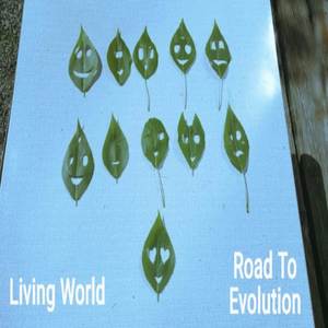Road To Evolution (Explicit)