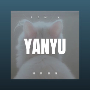 星语心愿 (DJ版)