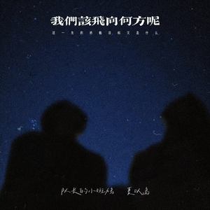 我们该飞向何方呢 (这一生的终极目标又是什么)