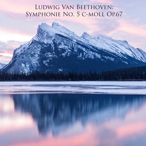 Symphony No. 5, Op. 67 - III. Allegro - Attacca