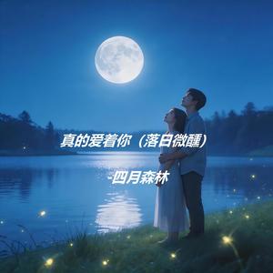 真的爱着你（落日微醺）