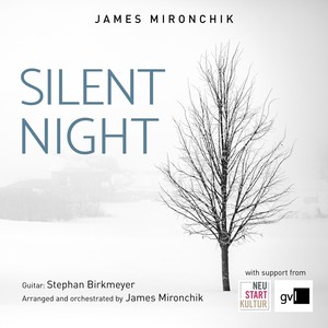 Silent Night (feat. Stephan Birkmeyer)