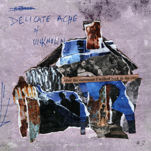 Delicate Ache Of Unknown (Explicit)