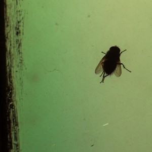 Soft Lux (Instrumental)