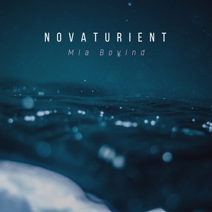 Novaturient