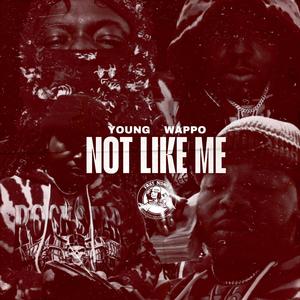 Not like Me (Explicit)