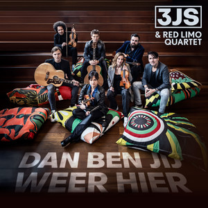 Dan ben jij weer hier (feat. Red Limo Quartet)