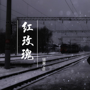 红玫瑰